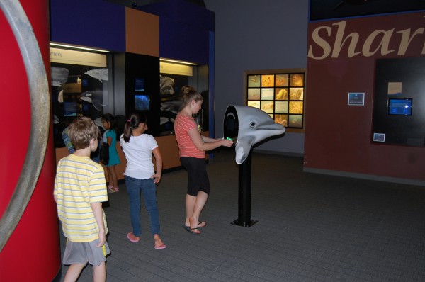 A guest enjoying one of the many interactive exhibits