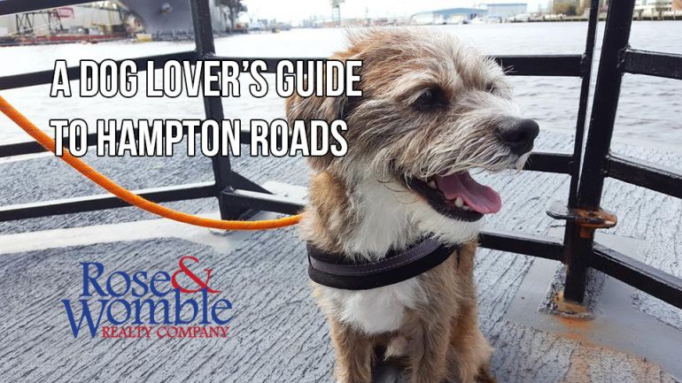 A Dog Lover’s Guide to Hampton Roads