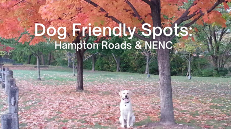 Dog Friendly Spots: Hampton Roads and NENC