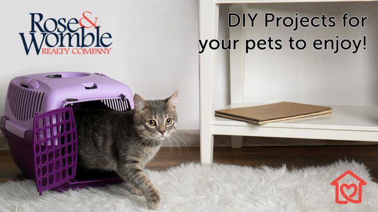 DIY Projects for your pets to enjoy!
