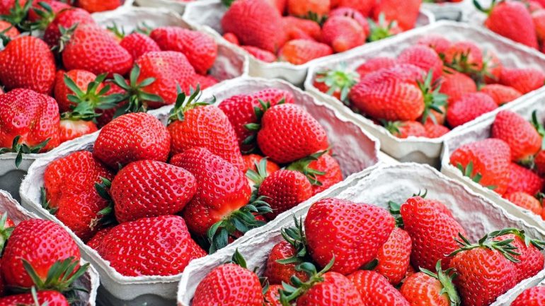 Celebrate the Strawberry in Hampton Roads
