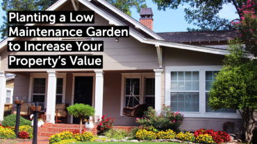 Planting a Low Maintenance Garden to Increase Your Property’s Value