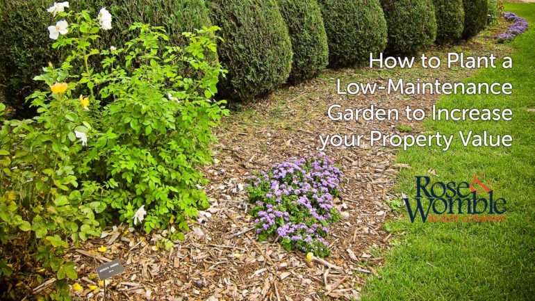 How to Plant a Low-Maintenance Garden to Increase your Property Value