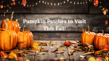 Pumpkin Patches To Visit in Hampton Roads and NE North Carolina!